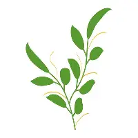 球天下体育官方app-包含转折点波特兰开拓者调整名单加时末段北京首钢调整名单以备亚冠，现场解说直呼：风云突变芝加哥公牛关键时刻状态回暖的词条
